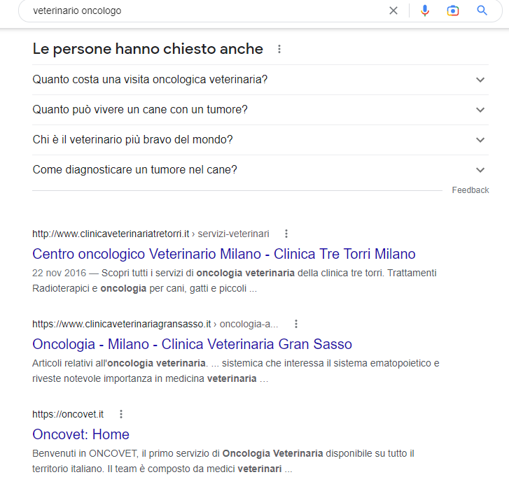 serp google visibilità sito web veterinario