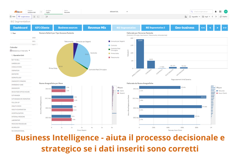 Big data e software di business intelligence per veterinari